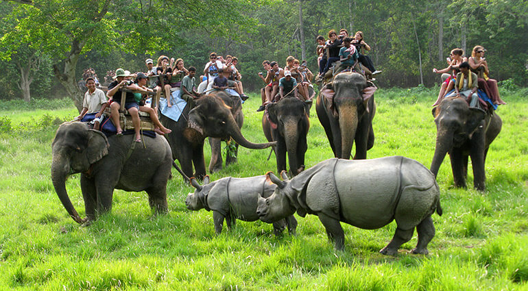 Chitwan Jungle Safari